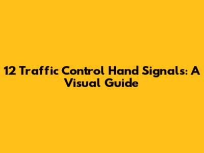 12 Traffic Control Hand Signals: A Visual Guide