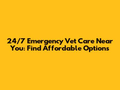 24/7 Emergency Vet Care Near You: Find Affordable Options