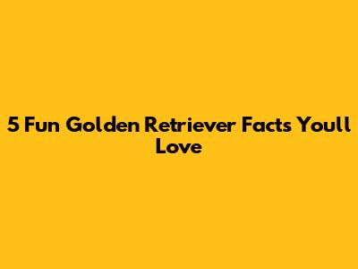 5 Fun Golden Retriever Facts You'll Love