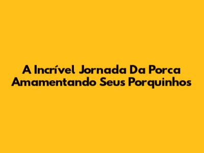 A Incrível Jornada Da Porca Amamentando Seus Porquinhos