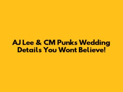 AJ Lee & CM Punk's Wedding Details You Won't Believe!
