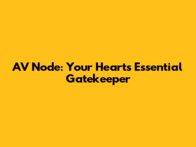 AV Node: Your Heart's Essential Gatekeeper