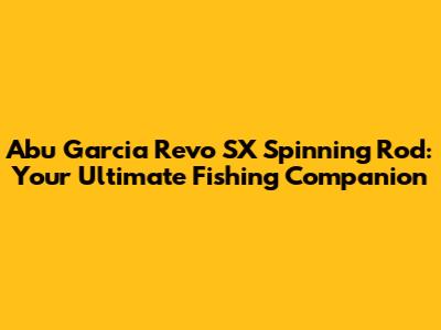 Abu Garcia Revo SX Spinning Rod: Your Ultimate Fishing Companion