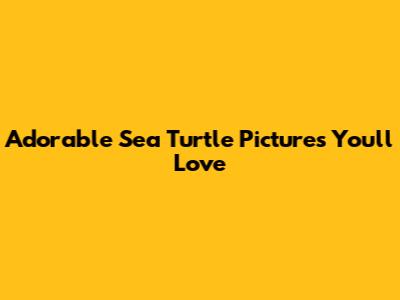 Adorable Sea Turtle Pictures You'll Love