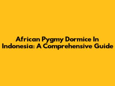 African Pygmy Dormice In Indonesia: A Comprehensive Guide