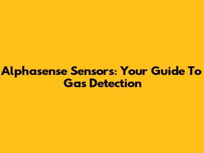 Alphasense Sensors: Your Guide To Gas Detection