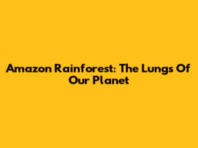 Amazon Rainforest: The Lungs Of Our Planet