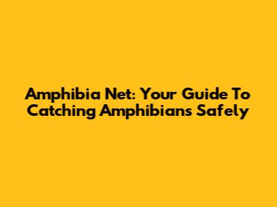 Amphibia Net: Your Guide To Catching Amphibians Safely