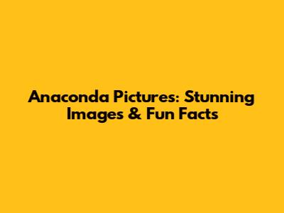 Anaconda Pictures: Stunning Images & Fun Facts