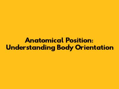 Anatomical Position: Understanding Body Orientation