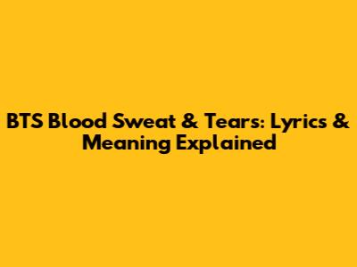 BTS Blood Sweat & Tears: Lyrics & Meaning Explained