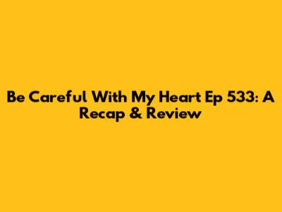 Be Careful With My Heart Ep 533: A Recap & Review