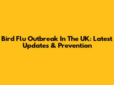 Bird Flu Outbreak In The UK: Latest Updates & Prevention
