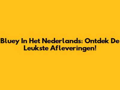 Bluey In Het Nederlands: Ontdek De Leukste Afleveringen!
