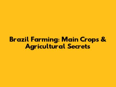 Brazil Farming: Main Crops & Agricultural Secrets