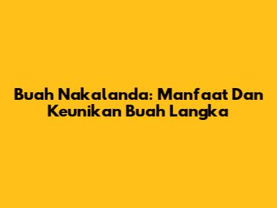 Buah Nakalanda: Manfaat Dan Keunikan Buah Langka