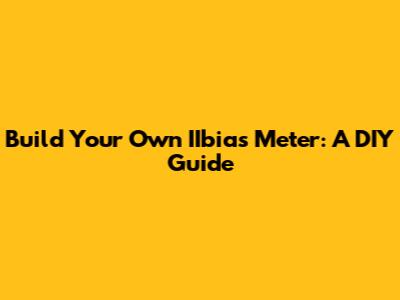 Build Your Own IIbias Meter: A DIY Guide