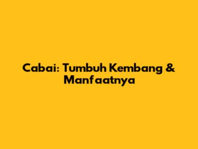 Cabai: Tumbuh Kembang & Manfaatnya