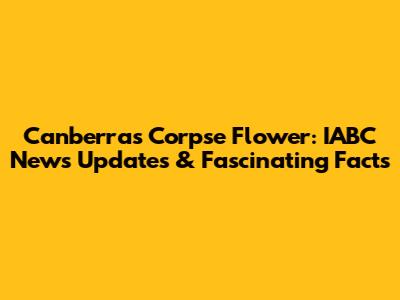 Canberra's Corpse Flower: IABC News Updates & Fascinating Facts