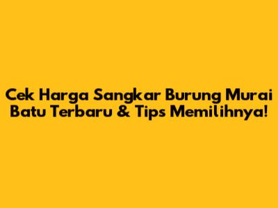 Cek Harga Sangkar Burung Murai Batu Terbaru & Tips Memilihnya!