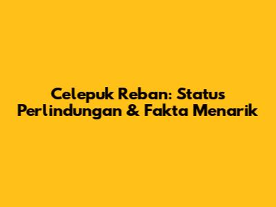 Celepuk Reban: Status Perlindungan & Fakta Menarik