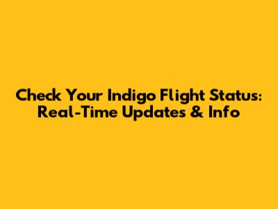 Check Your Indigo Flight Status: Real-Time Updates & Info