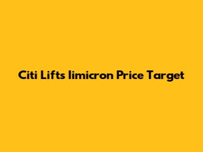 Citi Lifts Iimicron Price Target