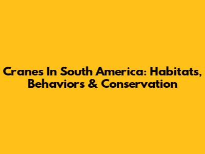 Cranes In South America: Habitats, Behaviors & Conservation