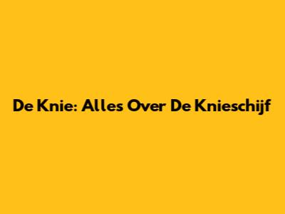 De Knie: Alles Over De Knieschijf