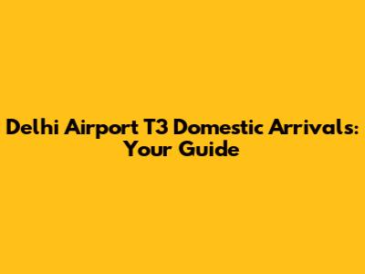 Delhi Airport T3 Domestic Arrivals: Your Guide