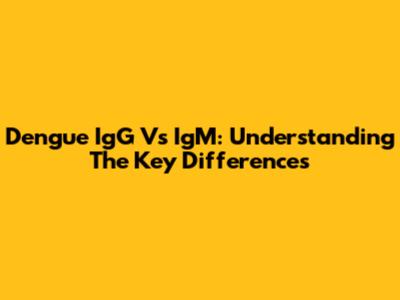 Dengue IgG Vs IgM: Understanding The Key Differences