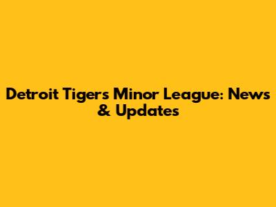 Detroit Tigers Minor League: News & Updates
