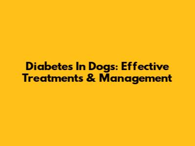 Diabetes In Dogs: Effective Treatments & Management