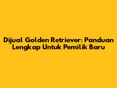 Dijual Golden Retriever: Panduan Lengkap Untuk Pemilik Baru