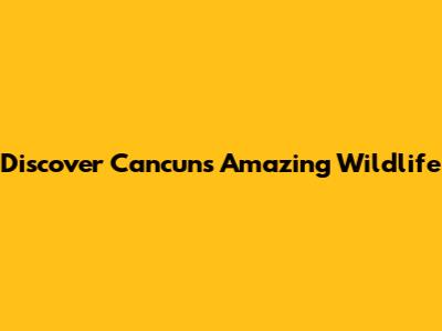 Discover Cancun's Amazing Wildlife