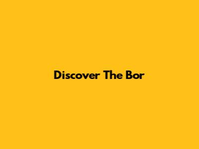 Discover The Bor