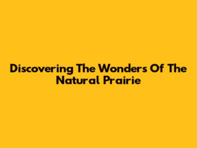 Discovering The Wonders Of The Natural Prairie