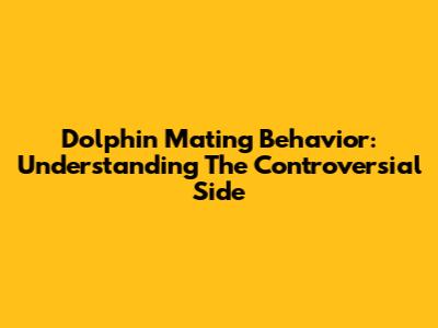 Dolphin Mating Behavior: Understanding The Controversial Side