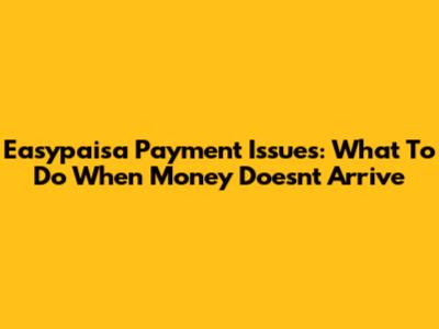 Easypaisa Payment Issues: What To Do When Money Doesn't Arrive