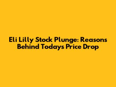 Eli Lilly Stock Plunge: Reasons Behind Today's Price Drop