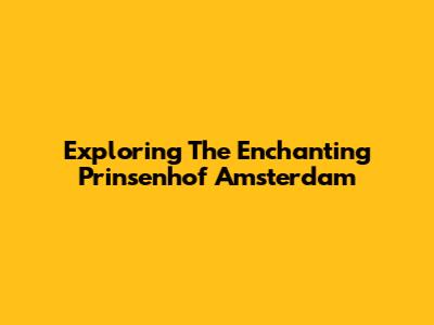 Exploring The Enchanting Prinsenhof Amsterdam