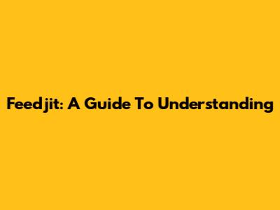 Feedjit: A Guide To Understanding