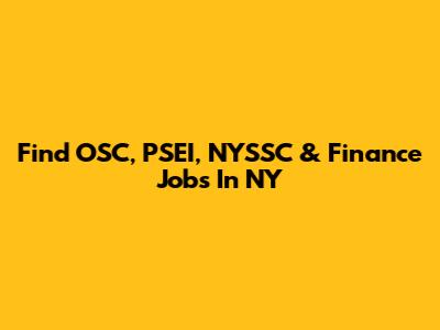 Find OSC, PSEI, NYSSC & Finance Jobs In NY