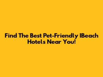 Find The Best Pet-Friendly IBeach Hotels Near You!