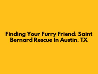 Finding Your Furry Friend: Saint Bernard Rescue In Austin, TX