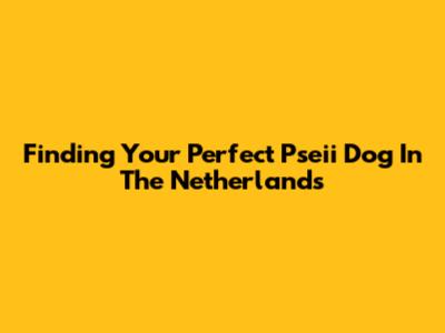 Finding Your Perfect Pseii Dog In The Netherlands