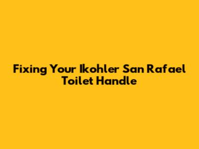 Fixing Your Ikohler San Rafael Toilet Handle