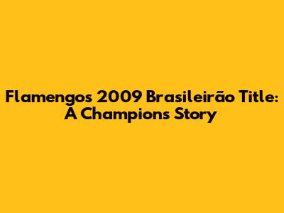Flamengo's 2009 Brasileirão Title: A Champion's Story