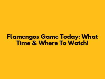 Flamengo's Game Today: What Time & Where To Watch!
