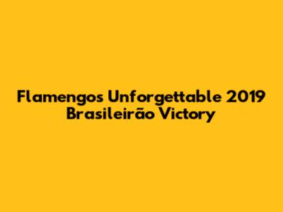 Flamengo's Unforgettable 2019 Brasileirão Victory